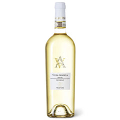 Velenosi Villa Angela Offida Pecorino DOCG Italian White Wine